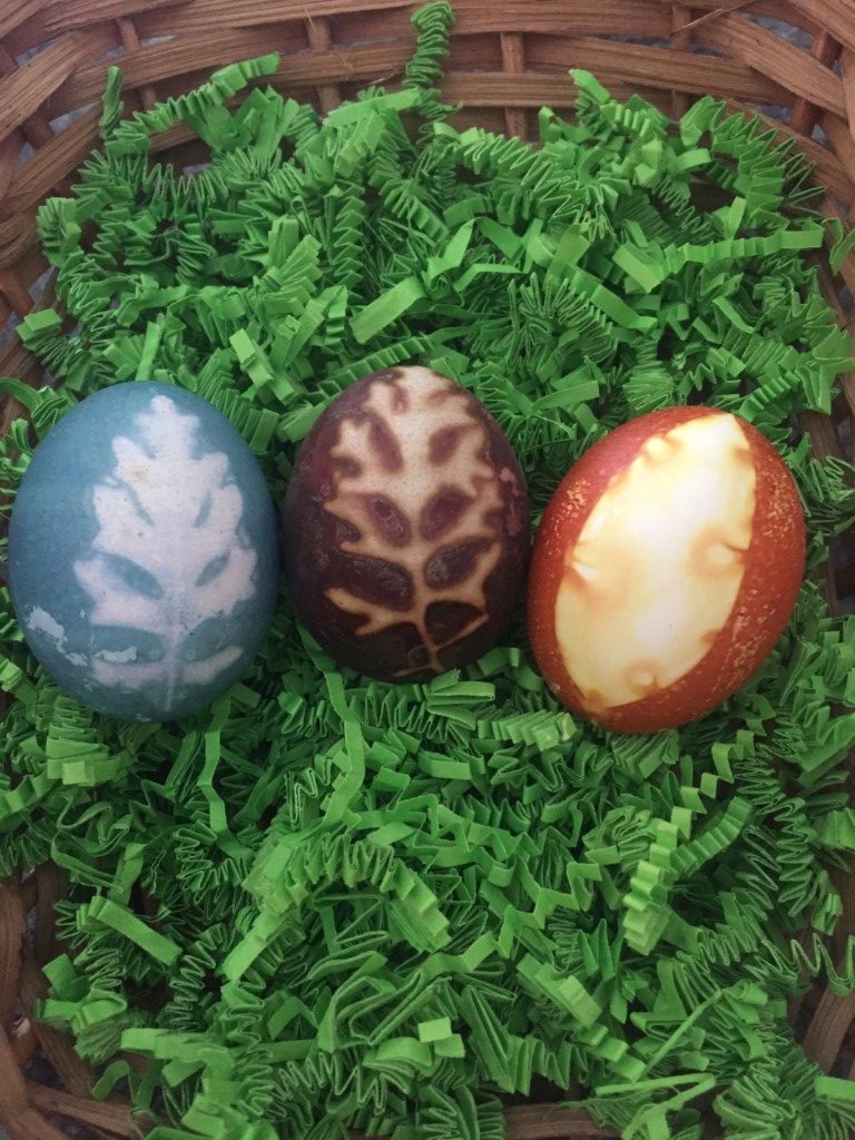Easter eggs natural dye Providence Moms Blog