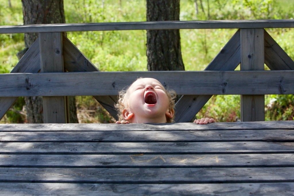 picture of toddler screaming near a bridge Providence Moms Blog