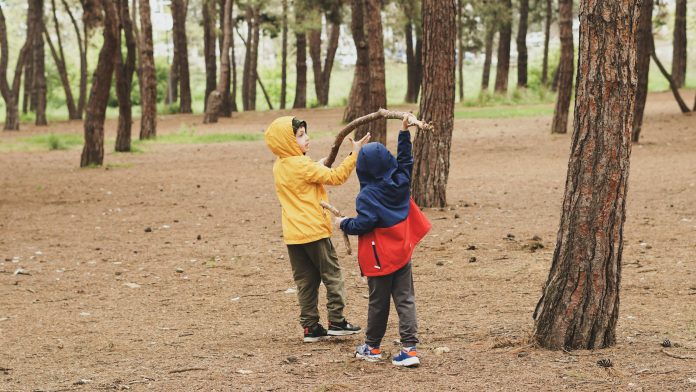 young boys playing with a stick in the woods; An Open Letter to My Sons