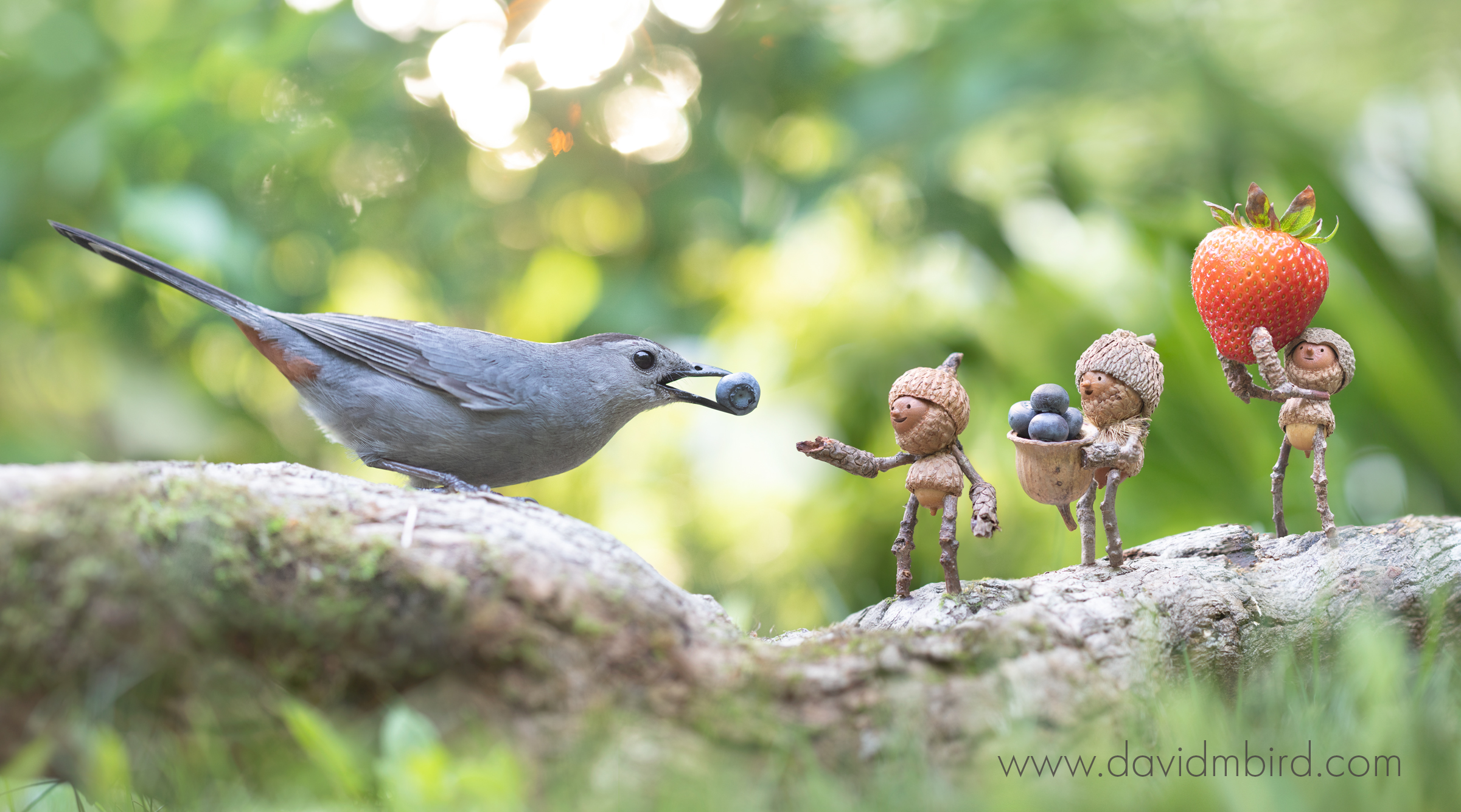 People built from acorns and sticks receive fruit to a small bird