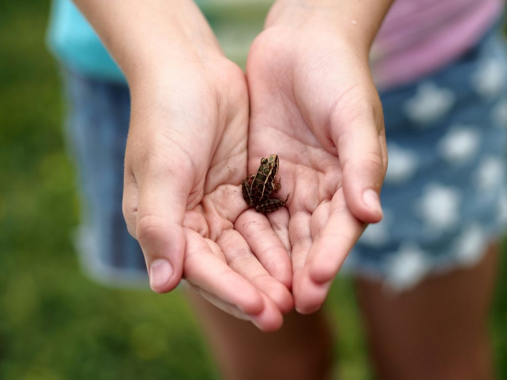 child holding a baby frog or toad