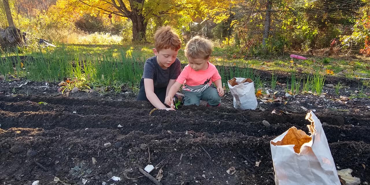 Two toddler boys planting in the garden