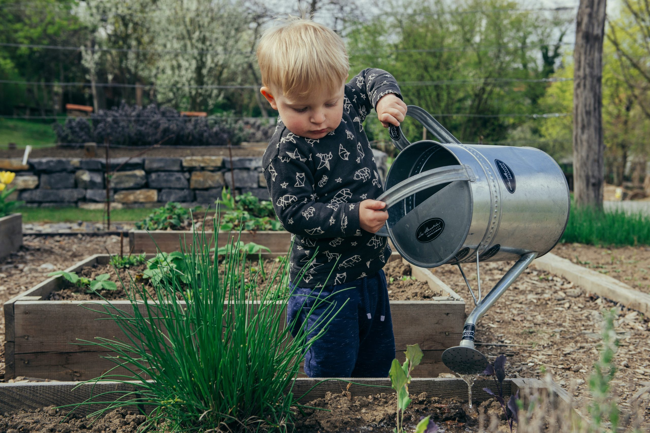 A toddler boy watering a sensory garden