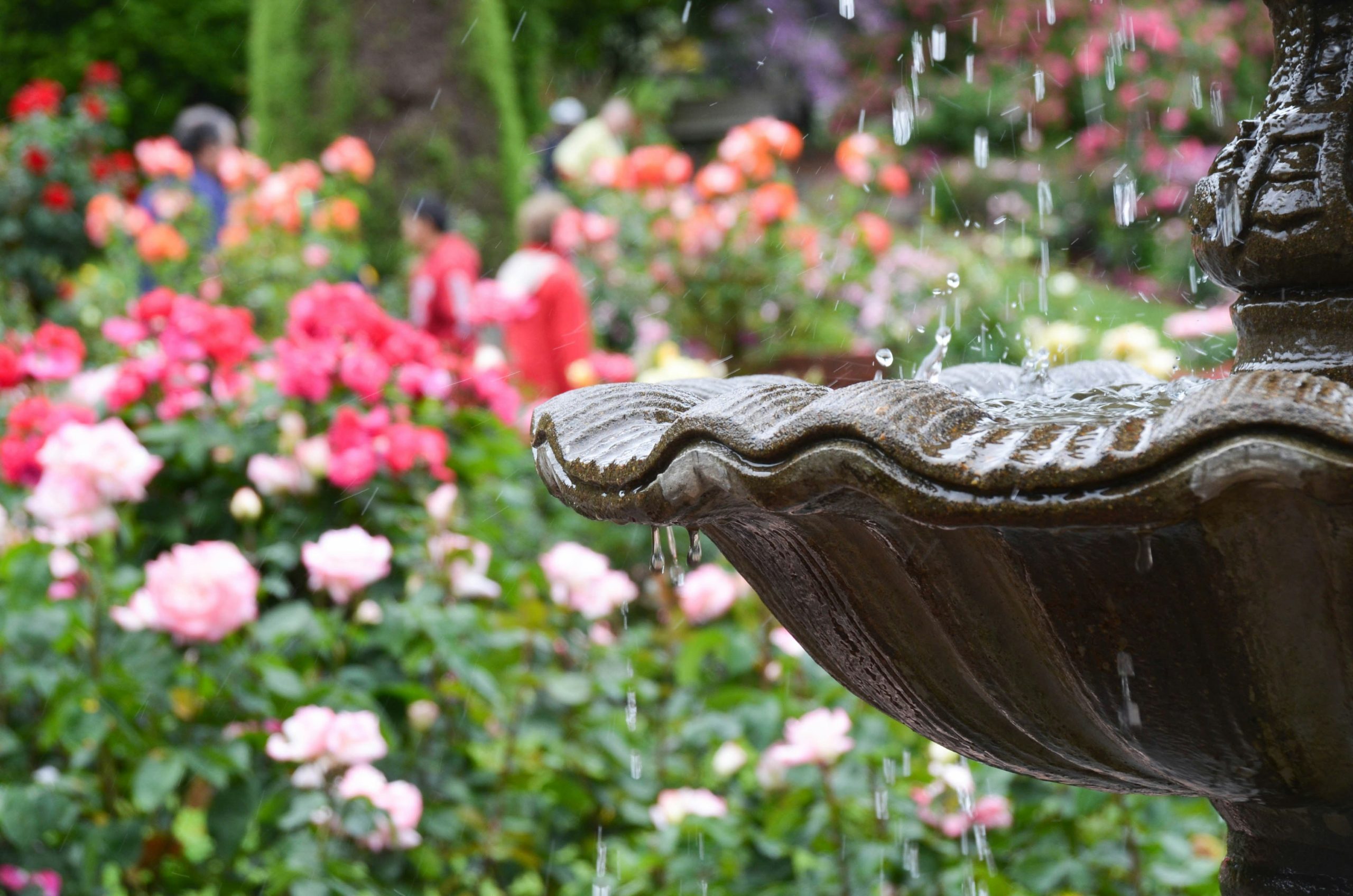 A water fountain in a garden