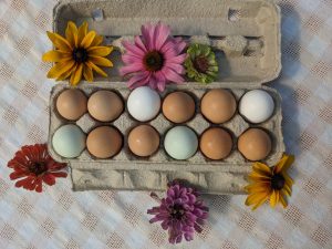 A dozen farm fresh eggs and flowers from the farm stand